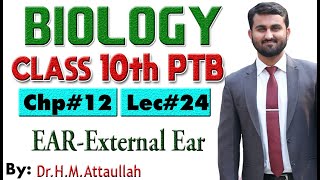 External Ear  Chapter  12  Biology Class 10th  Lec 24 [upl. by Aneris]