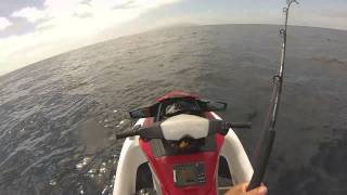 Jetski Fishing New Zealand Kingfish amp Mako Shark [upl. by Nosnevets]