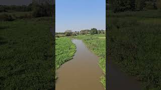 Flooding in Siechnice Lower Silesia Poland 17 September 2024 [upl. by Acilef]