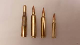 300 Ultra Mag RUM comparison to 338 Lapua 300 Win Mag and 308 Winchester [upl. by Ewold]