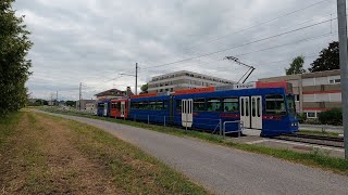 Tram Bern RBS Das blaue Bähnli in Gümligen am 22 Juli 2024 [upl. by Nylloc]