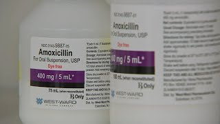 Amoxicillin over the counter medication shortages impacting pharmacies [upl. by Naniac]