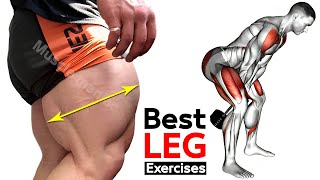 FULL Leg Workout  quadriceps  hamstring  thighs  glutes  Maniac Muscle [upl. by Vandyke]