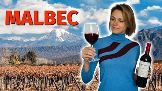 Wine Grapes 101 MALBEC [upl. by Kawai75]