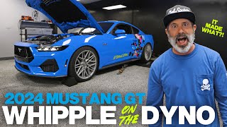 IT MADE WHAT Whipple Supercharged 2024 Mustang GT on the dyno [upl. by Tabib]