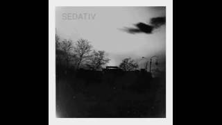 Sedativ Roman Sidorov  Untitled Track 7 [upl. by Atiker]