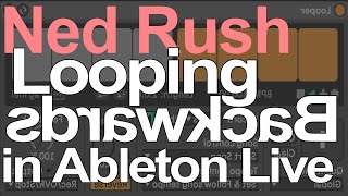 Ableton Live Tutorial  Looping Backwards  Ned Rush [upl. by Natye729]