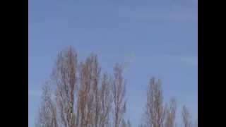 RAAF Roulettes over Canberra [upl. by Etnaed122]