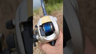 Daiwa 105hl mag force V fishing shots daiwareels [upl. by Coben]