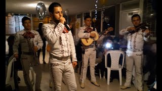 Mi Viejo  Serenata Para Papá  Mariachi Juvenils Show [upl. by Franza]