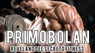 Primobolan el secreto revelado Ganancia muscular de calidad [upl. by Bandeen]