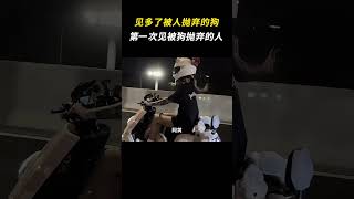 见多了被人抛弃的狗，还是第一次见被狗抛弃的人 搞笑 离谱 [upl. by Godber]