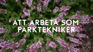 Att arbeta som parktekniker [upl. by Riesman]