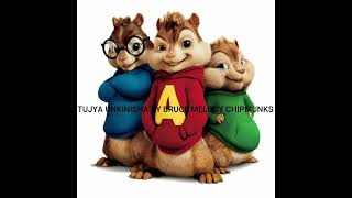 ntujya unkinisha by bruce melody Chipmunks [upl. by Fadil]