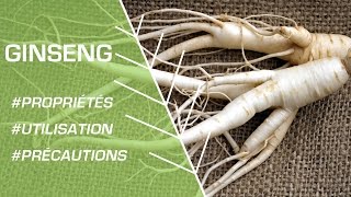 Comment utiliser le ginseng   Phytothérapie [upl. by Drue]