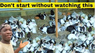 Know this things before starting a rabbit farm to avoid regrets [upl. by Llevram613]