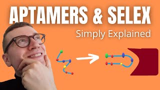 Aptamers and SELEX Simply Explained [upl. by Adnuahsor173]