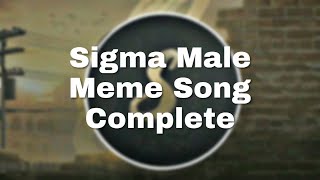 Sigma Male Meme [upl. by Vernon]