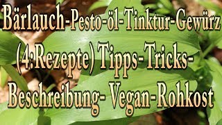 BärlauchPestoÖlTinkturGewürz 4Rezepte TippsTricksBeschreibungVeganRohkost [upl. by Genesa516]