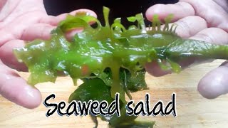 Quick and easy seaweed salad recipe shorts shortvideo shortsvideo [upl. by Veda572]