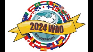 WAO Selectie 2024 [upl. by Aseeram]