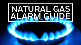 A Guide to Finding the Best Natural Gas Alarm [upl. by Edbert]