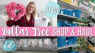 NEW DOLLAR TREE SHOP WITH ME amp HAUL 💟 Valentines Quick DIYs Organization 2018 [upl. by Odine]