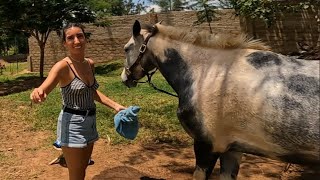 The ART of GETTING BETTER  with my Horses  🐎   African vlogs [upl. by Elder]