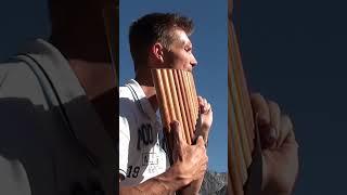 Amazing Grace  David Döring  Pan flute  Panflöte  shorts amazing love [upl. by Yarazed]