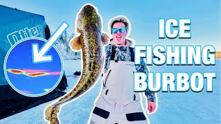 BURBOT FISHING MINNESOTA 2024  ICE FISHING DULUTH NEW PB [upl. by Rego]