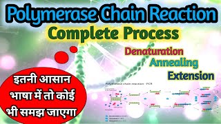 PCR Polymerase Chain Reaction  Amplification Of DNA  Simplified [upl. by Lorre]