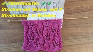 667BlattmusterStricken mit Skizze mit 2 Stricknadel in Runden [upl. by Swigart]