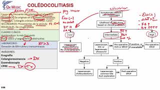 Coledocolitiasis [upl. by Berri272]