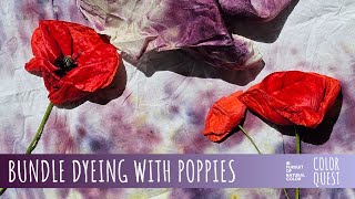 HOW TO BUNDLE DYE WITH POPPIES  ORGANIC COLOR  SILK COTTON  BOTANICAL PRINT  TRAVEL IN SPAIN [upl. by Ademla]