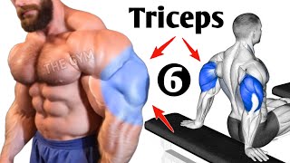 Triceps Workout At Gym  6 Effective Exercises [upl. by Yot964]