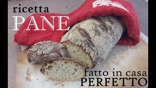 PANE FATTO IN CASA buonissimo SENZA IMPASTARE [upl. by Ennair]