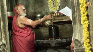 A Historic Event  Vidyashankara Temple Kumbhabhishekam [upl. by Roslyn271]