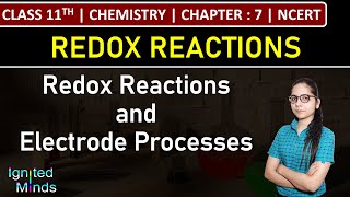 Class 11th Chemistry  Redox Reactions and Electrode Processes  Chapter 7  NCERT [upl. by Eicaj399]