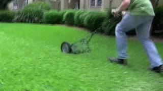 Four Push Reel Mowers The Ultimate Solution [upl. by Aphra]