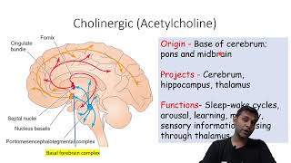 Neurophysiology Reticular Activating System By Vijaykumar Gupta [upl. by Kimmel]