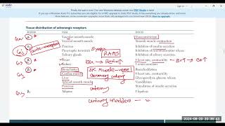 Adrenargic pharmacology 1 [upl. by Atteuqehs]