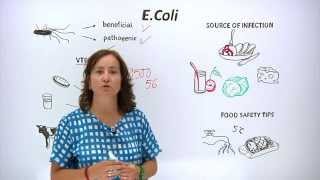 E Coli nedir [upl. by Skippie]