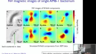 Ronald Walsworth quotNanoscale Magnetic Imaging Using Diamondquot [upl. by Yleak]