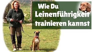 Leinenführigkeit ► Hilfe mein Hund zieht an der Leine  Leinenführigkeit trainieren [upl. by Larret815]