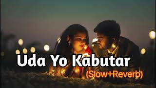 Uda Yo Kabutar  Slow Reverb  Full Song  Renuka Panwar  Surender Romio  Haryanvi Song 🥀 [upl. by Rramahs]