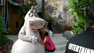 Characters Interactions with Guest UniversalStudios Singaporemp4 [upl. by Durwood]