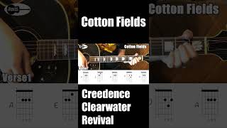 Cotton Fields Creedence Clearwater Revival CCR Guitar Chords Shorts [upl. by Snahc180]