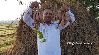 Sweet Potato Recipe  Shakarkandi Recipe  Desi Style  Village Style  Village Food Secrets [upl. by Nahsed]