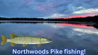 Throwing Chatterbaits For Aggressive Northwoods Pike [upl. by Ahsael]