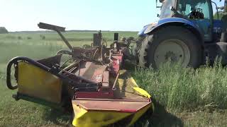 Wholecrop Harvest with New Holland [upl. by Luamaj]